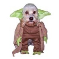 Yoda